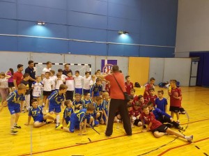 Završnica ZG Lige 14