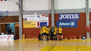 dubrava-metalac-4